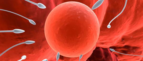 29.SPERM ÖRNEĞİ EVDEN VEYA DIŞARIDAN GETİRİLİRSE RİSK OLUŞUR MU?