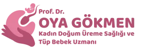 Prof. Dr. Oya Gökmen
