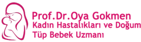 Prof. Dr. Oya Gökmen